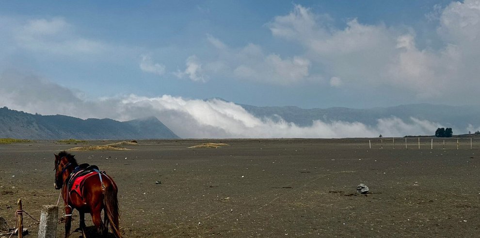 Mount Bromo Sunrise Tour from Malang
