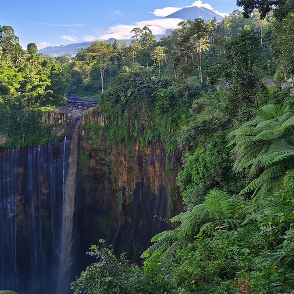 Explore the Stunning Beauty of Java, Indonesia with Our Ultimate Travel Packages